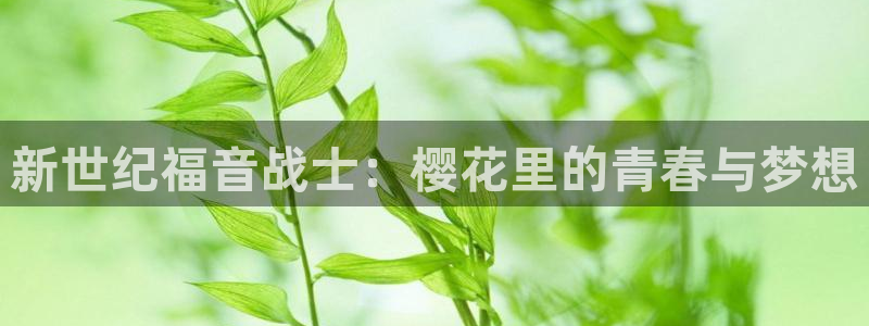 羞羞漫画正版入口下载：新世纪福音战士：樱花里的青春与梦想