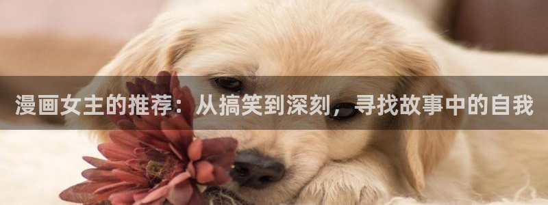 omofun.top：漫画女主的推荐：从搞笑到深刻，寻找故事中的自我