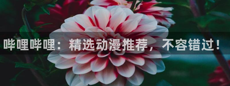 omofun下载动漫：哔哩哔哩：精选动漫推荐，不容错过！