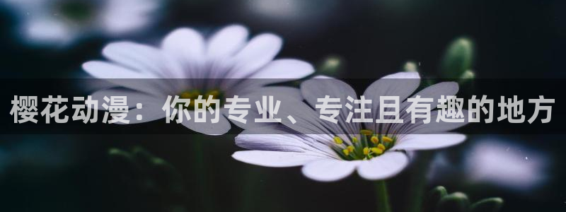omofun在线下载：樱花动漫：你的专业、专注且有趣的地方