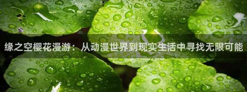 omofun官方：缘之空樱花漫游：从动漫世界到现实生活中寻找无限可能