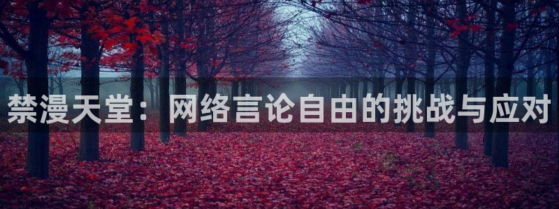 omofun动漫正版：禁漫天堂：网络言论自由的挑战与应对
