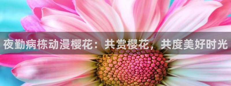 omofun下载官方正版网站：夜勤病栋动漫樱花：共赏樱花，共度美好时光