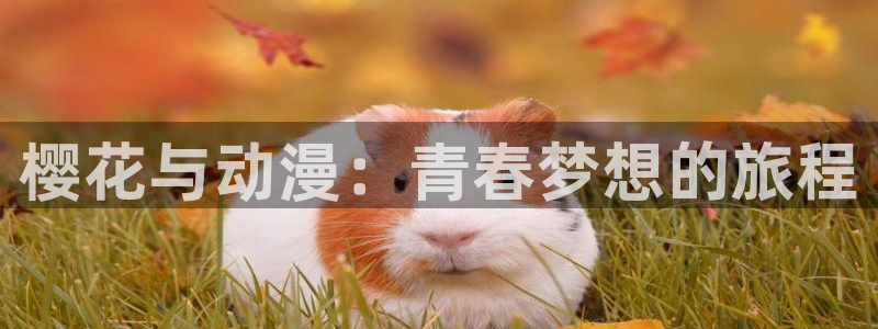 www.omofun.：樱花与动漫：青春梦想的旅程