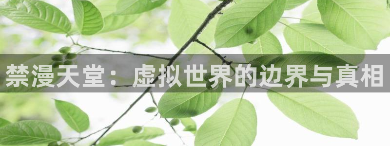 omofun去广告版：禁漫天堂：虚拟世界的边界与真相