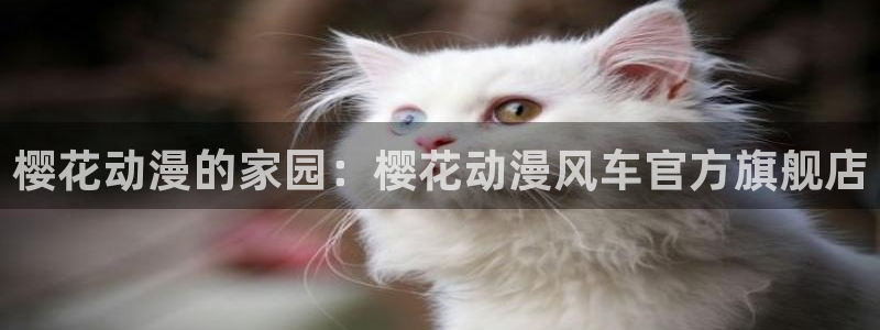 omofun怎么投屏：樱花动漫的家园：樱花动漫风车官方旗舰店
